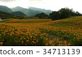 六十石山 34713139