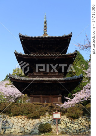 Shiga Spring of Mitsui's Temple Shiga Spring of Mitsui's Temple 34713306