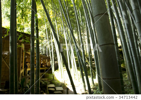 在Kagokukura Takenoji寺廟的早晨茶道 34713442