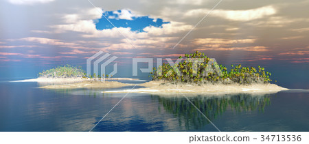 Tropical island with palms Tropical island with palms 34713536