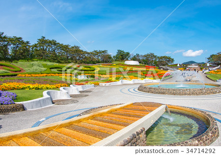 Flowers and park 34714292