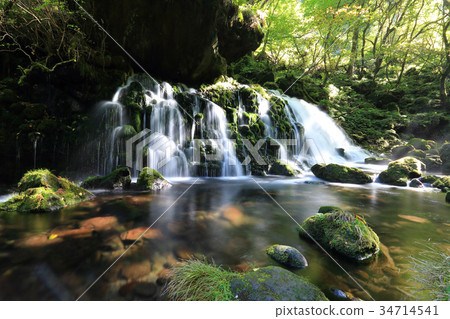 Mototaki Shimizu自來水風景在早期的秋天 34714541