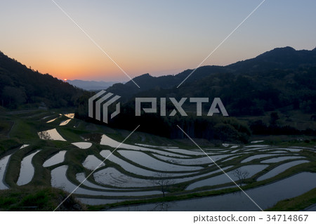 水稻梯田的風景 34714867