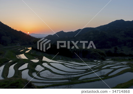 水稻梯田的風景 34714868