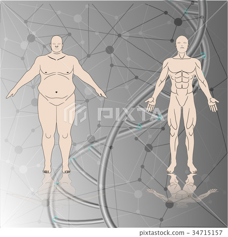 human chromosome human chromosome 34715157