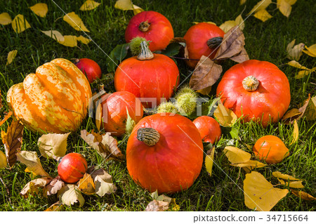 Pumpkin full of beautiful fall colors 34715664