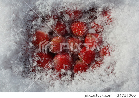 victoria in the snow. photo for your 34717060