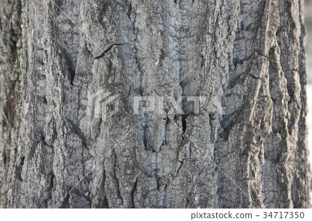 rough background of a rough gray rough background of a rough gray 34717350