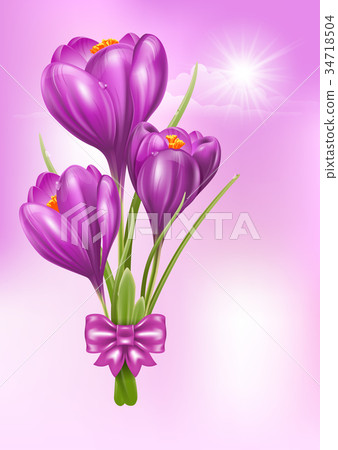 Crocuses Crocuses 34718504