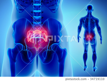 3D illustration of Sacral Spine, medical concept. 34719110