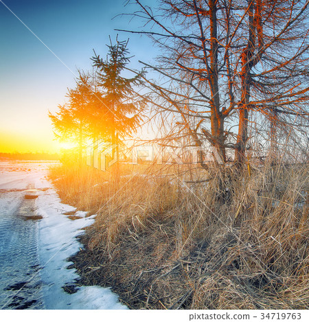 traces of the car wheels on a snowy road 34719763