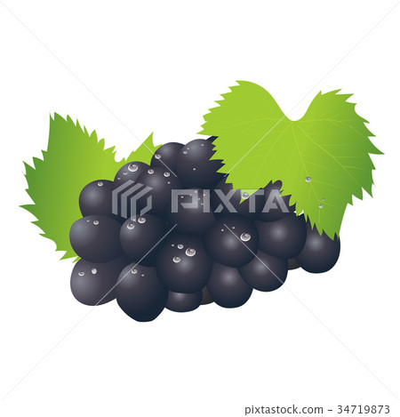 秋天的味道葡萄插圖矢量數據|葡萄圖 34719873