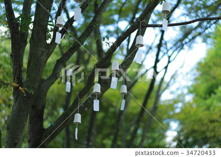 Tree and wind bell 34720433