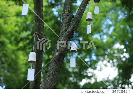 Tree and wind bell 34720434