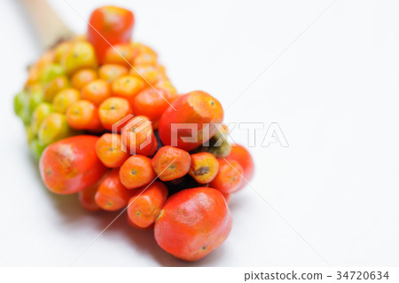 Mamushi草果 34720634