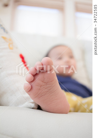 feet, paw, younger 34722585