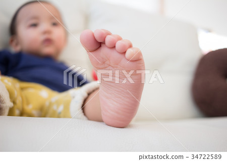 feet, paw, younger 34722589
