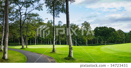 View of the rough and birch trees at a golf course in Hokkaido during summer. View of the rough and birch trees at a golf course in Hokkaido during summer. 34723431