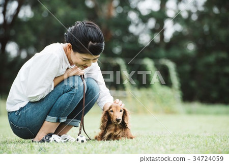 Miniature Dax and Japanese Women 34724059