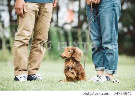 Japanese couple taking a dog walk Japanese couple taking a dog walk 34724945