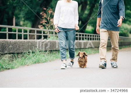 採取狗步行的日本夫婦 採取狗步行的日本夫婦 34724966