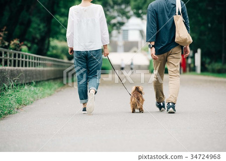 Middle couple taking a dog walk Middle couple taking a dog walk 34724968
