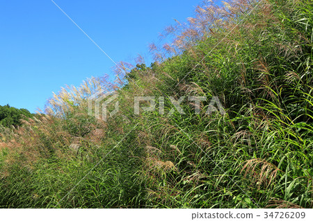 Yusu town that shines in the blue sky Yusu town that shines in the blue sky 34726209
