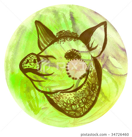 Watercolor badge with pig Vegan style illustration Watercolor badge with pig Vegan style illustration 34726460
