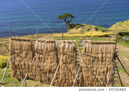諾托半島,白米森邁達 諾托半島,白米森邁達 34726469