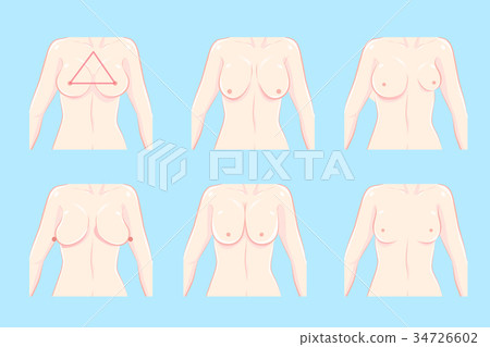 cartoon different chest shape 34726602
