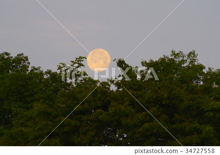 Full moon floating above the forest Full moon floating above the forest 34727558