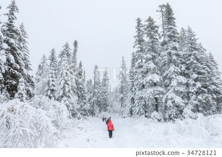 Group of some people on winter hike in mountains 34728121