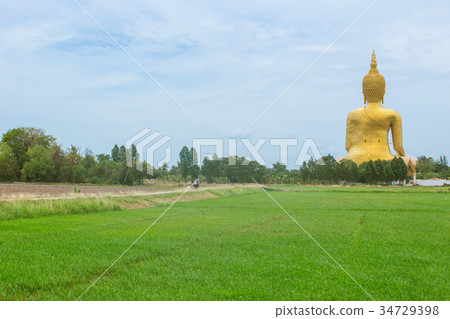 Golden Buddha in countryside 34729398