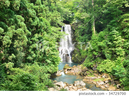 Naha's Shirataki-188058 Naha's Shirataki-188058 34729700