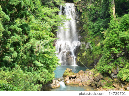 Nao's Shirataki-188059 34729701