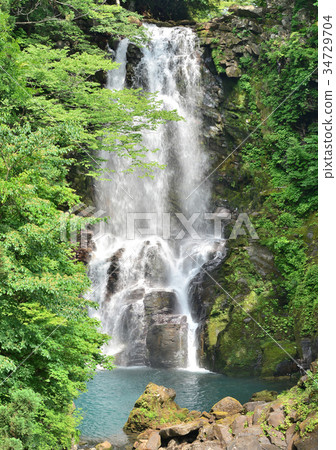 Naha's Shirataki-188062 Naha's Shirataki-188062 34729704