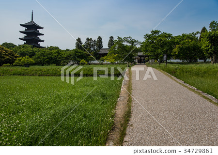 岡山Sosha市Bichu分公司在初夏鄉下公路 34729861