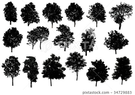 Collection Of Silhouette Of tree Isolated On White Collection Of Silhouette Of tree Isolated On White 34729883