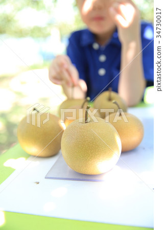 數數 數數 34730017
