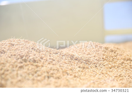 Wild rice Wild rice 34730321