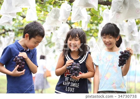 孩子們享受葡萄狩獵 34730738