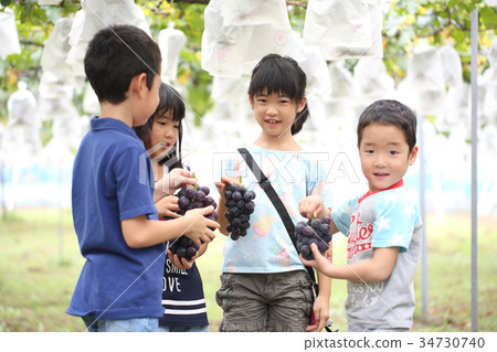 孩子們享受葡萄狩獵 34730740