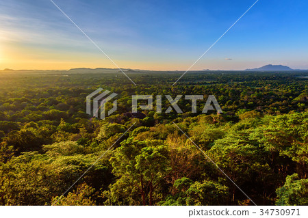 Aerial view of tropical forest of Sri Lanka Aerial view of tropical forest of Sri Lanka 34730971