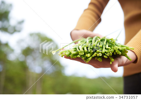 Fresh leek 34731057
