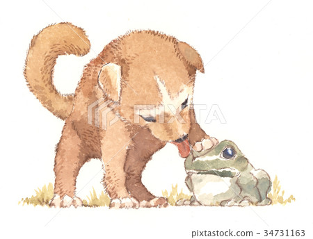 一隻小狗 一隻小狗 34731163