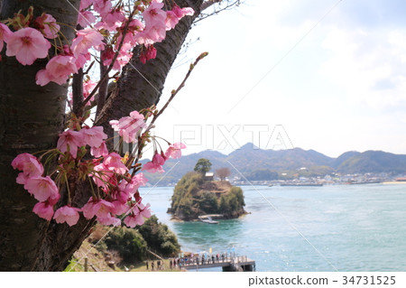 從Nojima城堡的瀨戶內風景 34731525