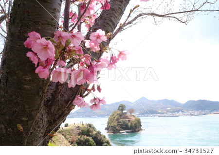 從Nojima城堡的瀨戶內風景 從Nojima城堡的瀨戶內風景 34731527