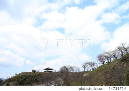 從Nojima看的瀨戶內風景 從Nojima看的瀨戶內風景 34731714
