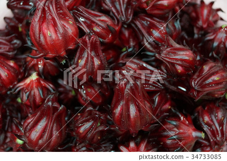 Rakushinhana 34733085