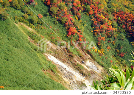 Autumn leaves of Towada Hachimantai that go by Amahari Onsen Kyukamura lift 34733580